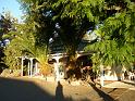 New_Zealand (1041)